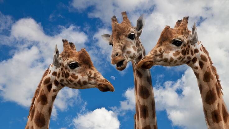 Espacio de Comunicación con Marina Estacio: Si no hay voluntad de entenderse, no hay comunicación