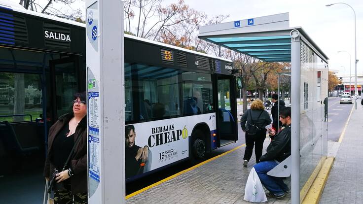 La Columna de Carlos Arcaya: «El avispero que ha agitado el bipartito apunta sus aguijones directamente contra Barcala»