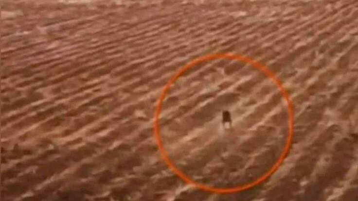 Espacio de Enigmas y Misterios con Álvaro Martín: Un dron capta una imagen de ‘El Chupacabras’