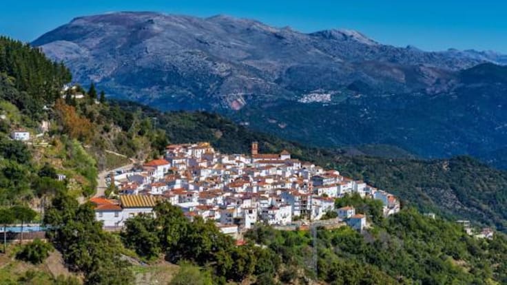 "Vamos a salvar el oficio de encalador" JM López, alcalde Algatocín