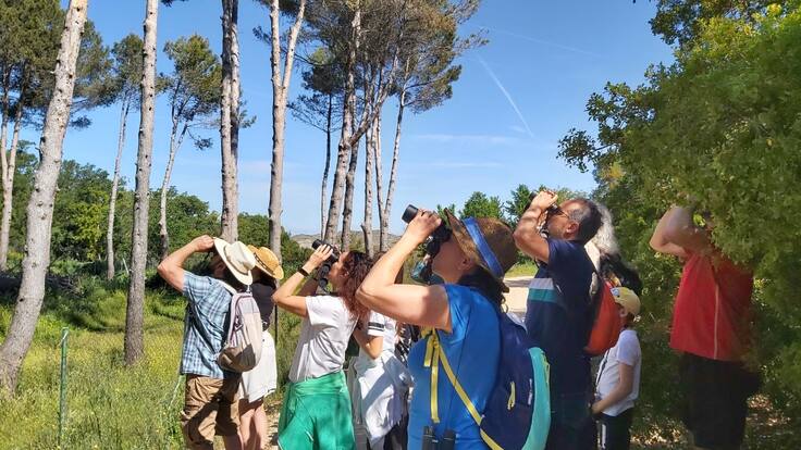 Aprendiendo a ver aves en la ciudad: el proyecto Aver Aves transforma la mirada de miles de escolares