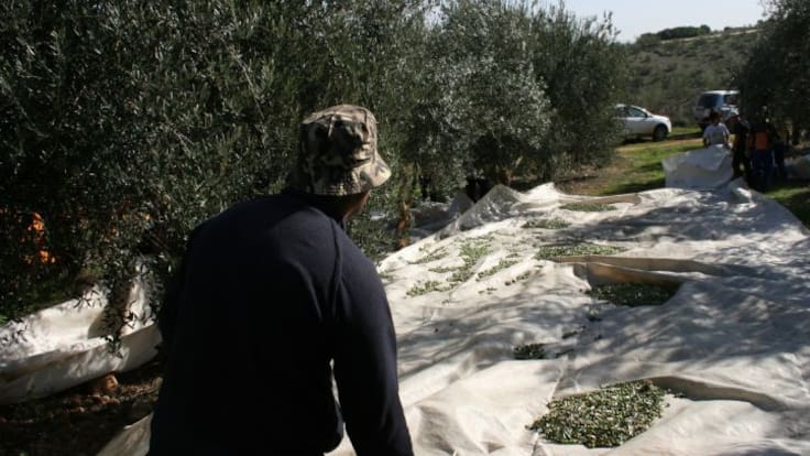 Hora 14 Jaén (22/01/2026)