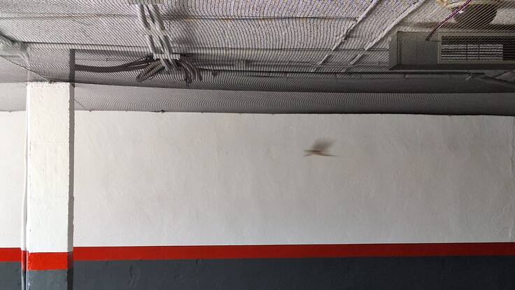 Hablamos con Eduardo Ramírez, vicepresidente de ANAPRI, que denuncian las redes instaladas para expulsar a las golondrinas de un supermercado de Manzanares El Real