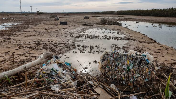 La Ventana a las 16h | Dana, Cómo está la Albufera, Hacemos números, El Mejor Panadero y Una historia viral en el día Mundial de la Voz