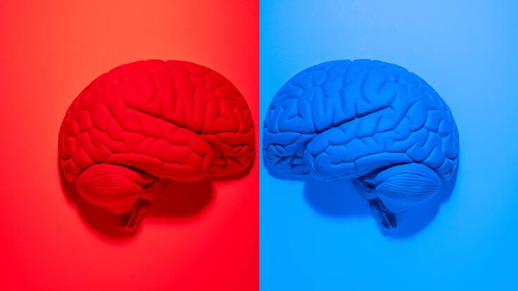 La Columna de Carlos Arcaya: «La izquierda pone en marcha ‘el departamento de perder elecciones’»