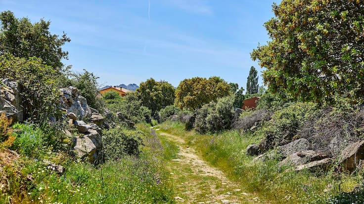 Una ruta entre historia y paisaje en el valle del Lozoya