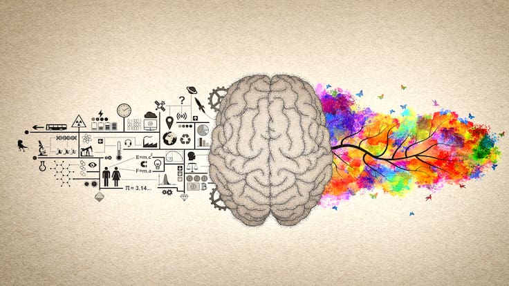 Fernando de Castro, uno de los tres ponentes y jefe del grupo de Neuro-biología del Desarrollo en el Instituto Cajal del CSIC, en Hoy por Hoy Alicante