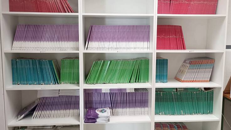 Entrevista a Elena Cerezales, presidenta del anpa Solleiro del IES Antón Alonso Ríos