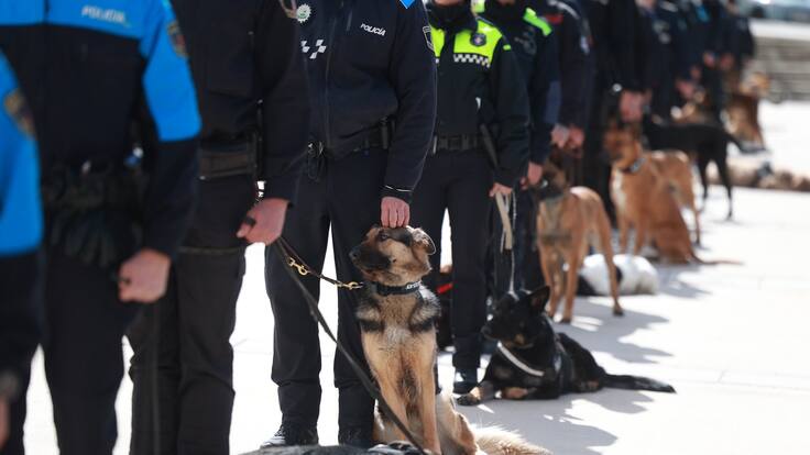 Entrevista a Alfonso Toribio, Subinspector de Policía Local de Alcobendas, sobre las Jornadas de Guías Caninos