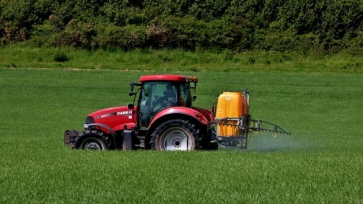 Isabel Vilalba, secretaria general del Sindicato Labrego, habla de la situación del agro en Galicia