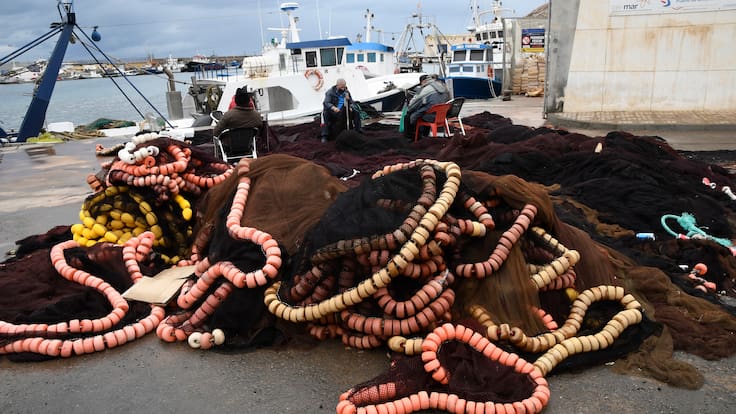 "El viernes habrá ya pescado fresco" Carmen Navas, Agrupación Pescadores Málaga