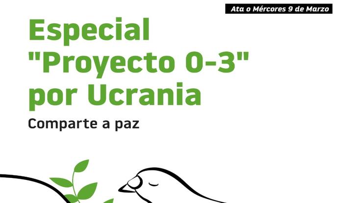 ENTREVISTA PROYECTO 0-3