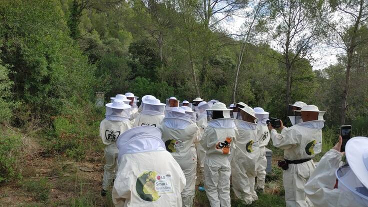 "Los Montes de Málaga necesitan recuperar sus abejas" Iris Marcos, Smart Green LG