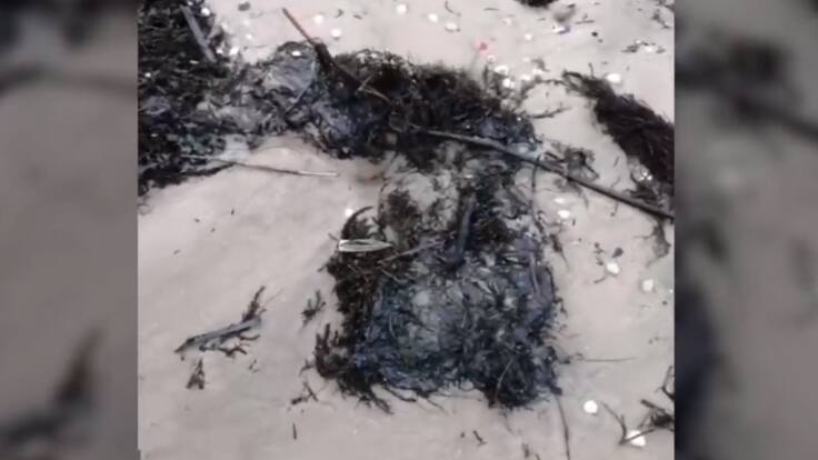 Todo lo que usted siempre quiso saber sobre la historia de Vigo: el vertido del Polycomander