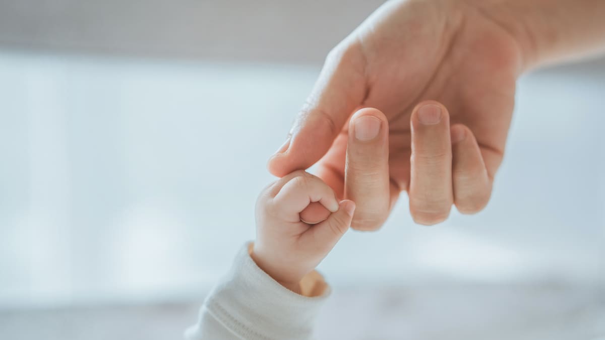 ¿Qué es realmente la vida? El gran dilema de la humanidad sobre el que se ha pronunciado hasta la NASA