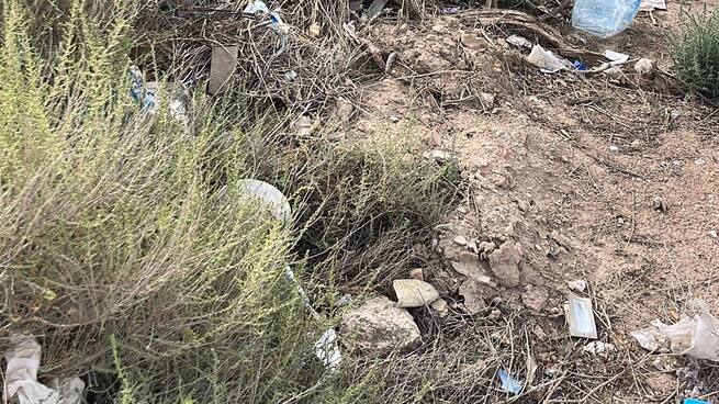 Entrevista a María Van t Wout, gerente de JuanaMare (jornada de recogida de basuraleza en Yecla)