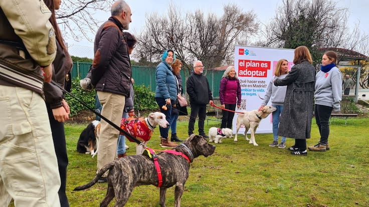 Las personas que han adoptado a sus mascotas en el Centro Integral de Acogida de Animales de la Comunidad de Madrid, ubicado en Colmenar Viejo, valoran positivamente su decisión de adoptar