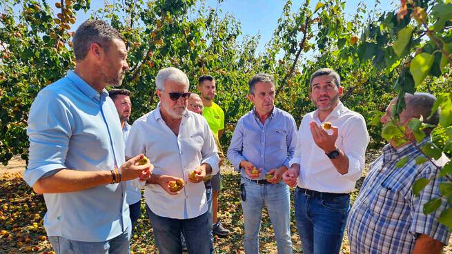 Entrevista a Jose Miguel Marín, presidente de COAG Region de Murcia (daños de la tormenta en el Noroeste)