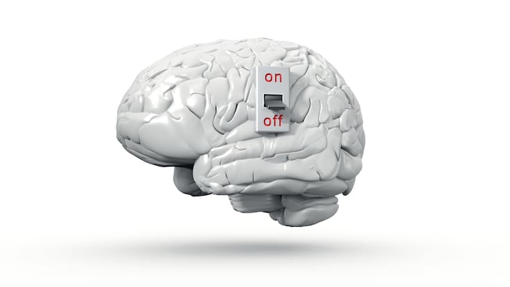 Alerie Guzmán, investigadora Miguel Servet: "¿Por qué es blanco el cerebro?"