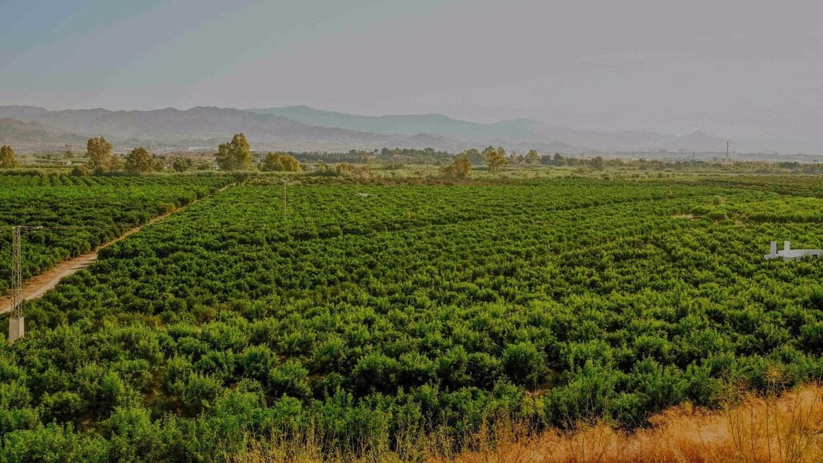 "Vega de Mestanza debe ser BIC" Carmen Mestanza, propietaria