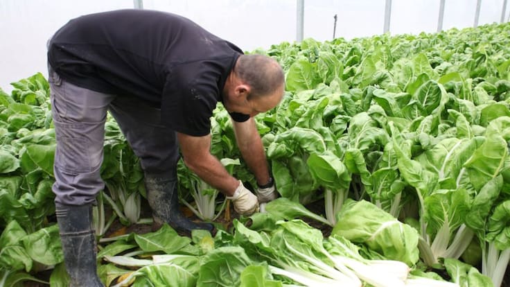 Alfredo Berrocal, presidente de UGAMA, habla de las repercusiones de los conflictos armados actuales sobre la ganadería