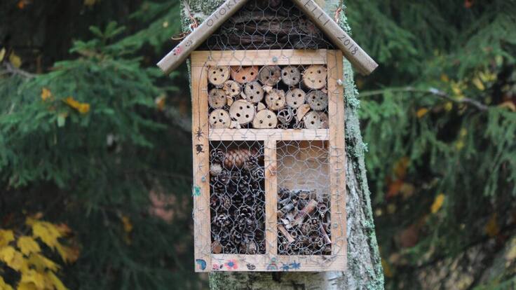 Entrevista a Ana Julián, monitora de Reforesta, que nos enseñan a hacer hoteles para insectos