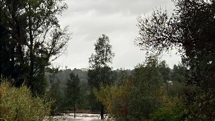 "Es un ciclo. Cada ocho o diez años descarga una gran tormenta" Félix Lozano, alcalde de Pizarra