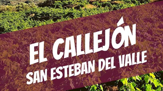 Sabor a Ávila: Bodega el Callejón