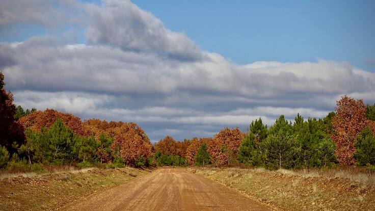 Postales de Palencia: la de la Cañada Oriental Leonesa