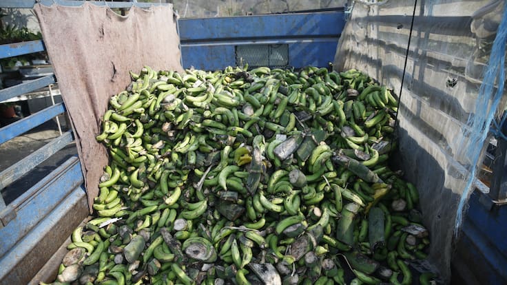 Hoy por Hoy La Palma: la intromisión de organizaciones regionales ausentes durante la reconstrucción