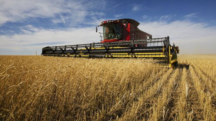 Carlos González, presidente de la Lonja Agropecuaria, nos habla de las consecuencias de la guerra en Ucrania.
