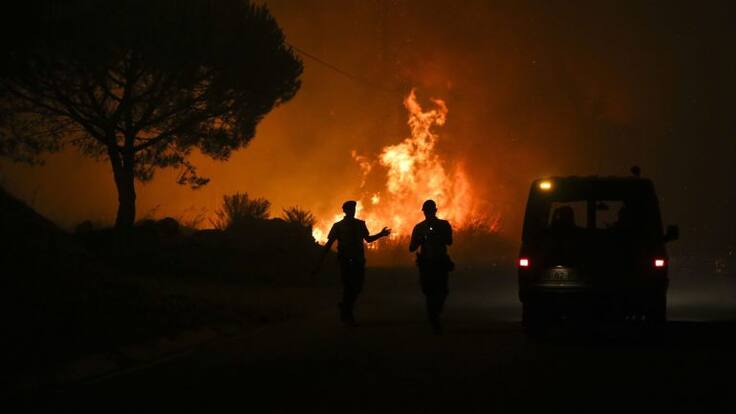 Entrevista a Juan Picos, director da Escola de Enxeñería Forestal da UVigo, por los incendios en Portugal