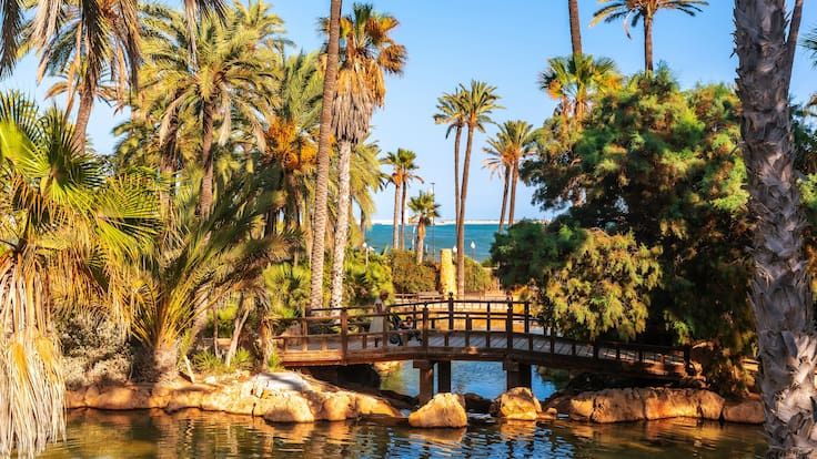 No vamos a contar mentiras: «Zonas verdes urbanas: ¿un capricho innecesario?», con Miguel A. Goberna y Santiago Soliveres, profesor de Ecología de la UA