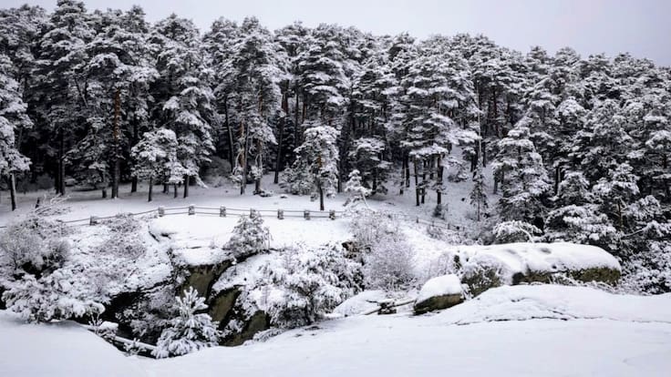 Francisco Martín, Delegado del Gobierno en Madrid, sobre las medidas ante el pico de presión de visitantes en el Parque Nacional de la Sierra de Guadarrama