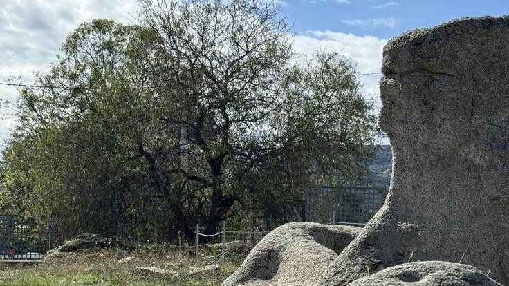 Eva Boullón, técnica de turismo de Lozoyuela, nos habla del inicio de los trámites para nombrar a la Necrópolis de Lozoyuela como Bien de Interés Cultural