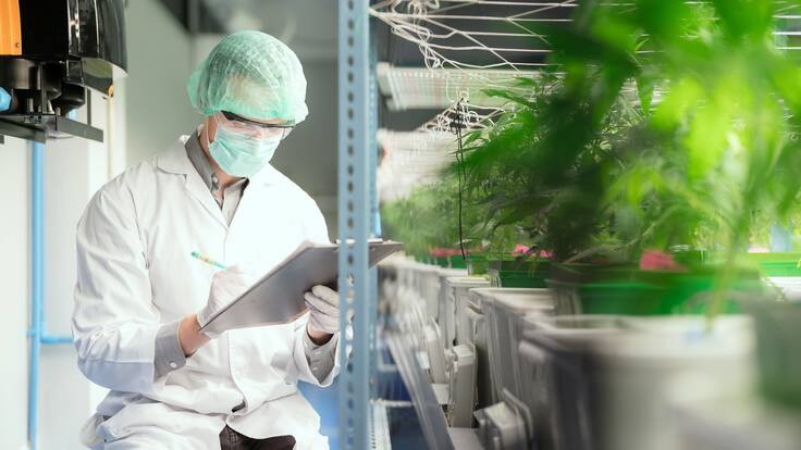 Javier Ferrández, profesor del Departamento de Tecnología Informática y Computación de la UA, en Hoy por Hoy Alicante.