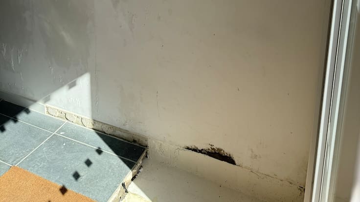 Hablamos con Andrea, vecina del Plan Vive de Tres Cantos, que lleva meses fuera de su vivienda por problemas de humedades