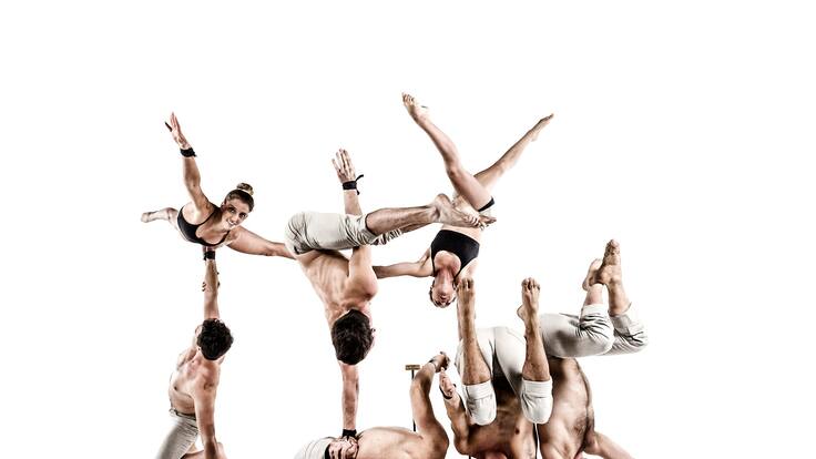 Entrevista a Alicia Garijo, delegada del Institut Valencià de Cultura en Alicante