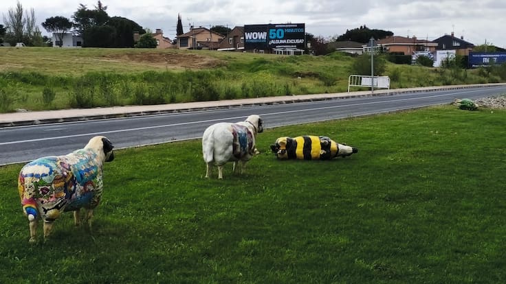 Daniel Borona, presidente Asociación de Vecinos por Colmenar Viejo, denuncia la falta de medidas contra el vandalismo ejercido contra la exposición de las esculturas de ovejas churras