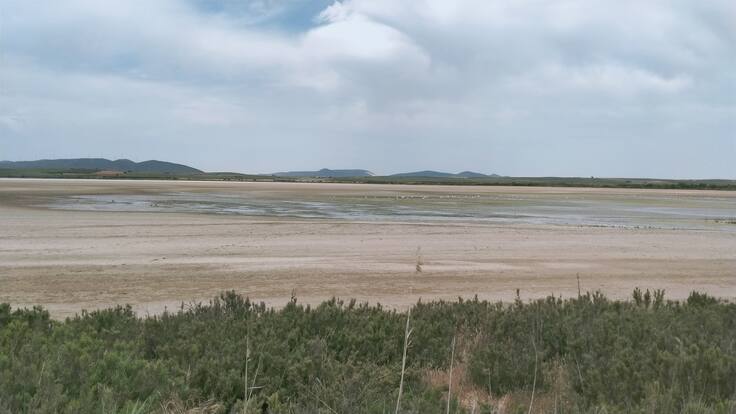 Especial de SER Málaga sobre la situación de la Laguna de Fuente de Piedra