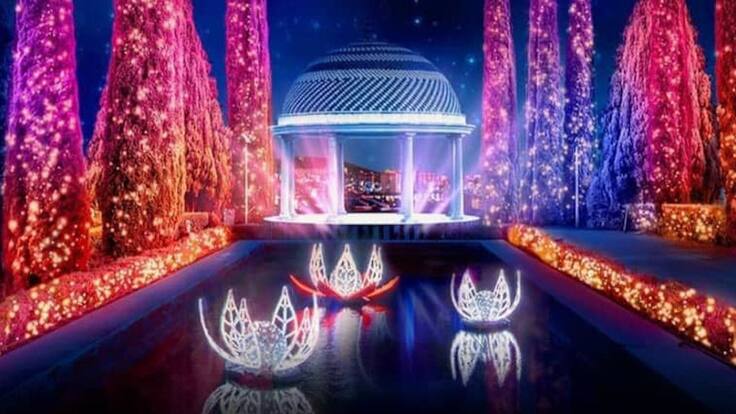 "Stela ha vuelto a sorprender. Estamos muy contentos" Luciana Fortes, Proactiv