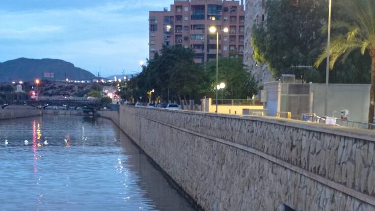 José Santamaría, portavoz de la Asociación Gran Vía Sur Puerto, sobre los lodos acumulados con las lluvias, por no dragar el Barranco de las Ovejas