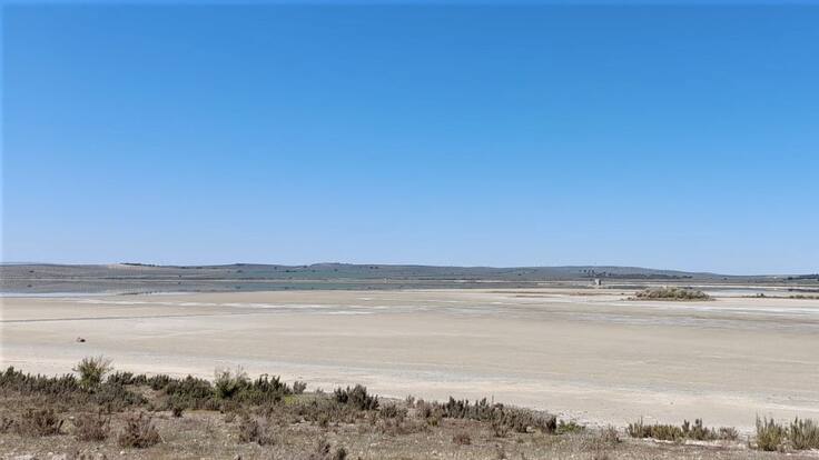 "La laguna de Fuente de Piedra está prácticamente seca" Africa Lupión, dtora Reserva Natural