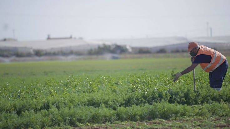Hora 14 Región de Murcia (28/02/2024)
