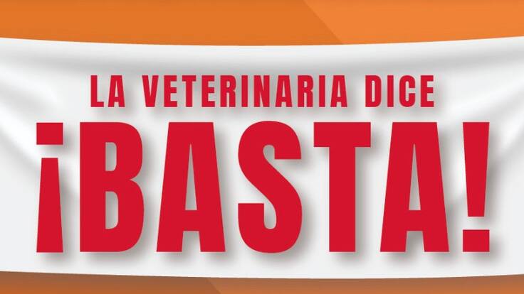 "Tener un perro o un gato no puede ser un lujo" A Dominguez, Veterinarios de animales de compañía