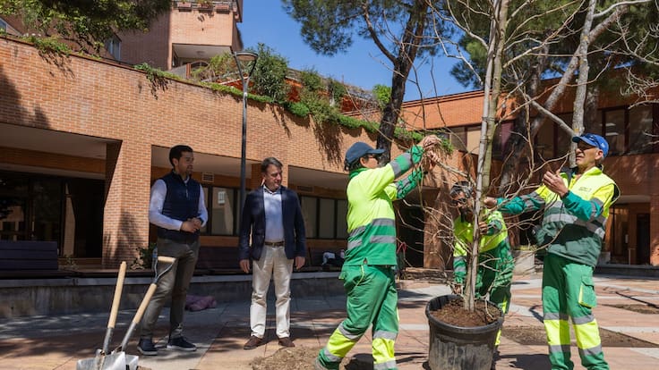 Hablamos con Pedro Fernández, concejal de Servicios Públicos de Tres Cantos, sobre la plantación de 3.000 árboles