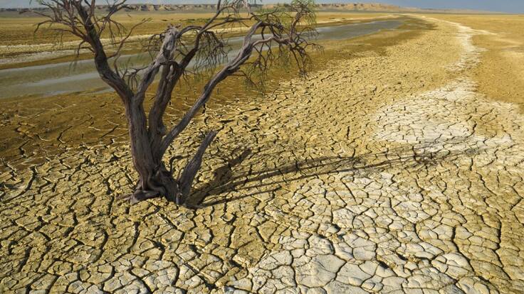 La Mirada de Marta Cantero (19/01/2023)