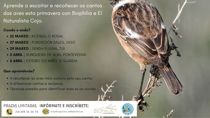 La ruta "A lingua das aves" en la sección "A horta de Lorena", con la bióloga Lorena Franco