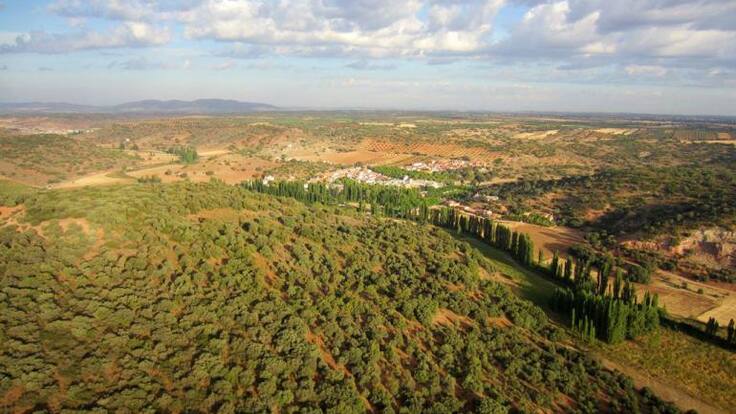 Las microempresas: ¿la solución a los problemas de despoblación del Campo de Montiel?