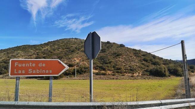 Excursión hasta la fuente de las Sabinas de Barajas de Melo